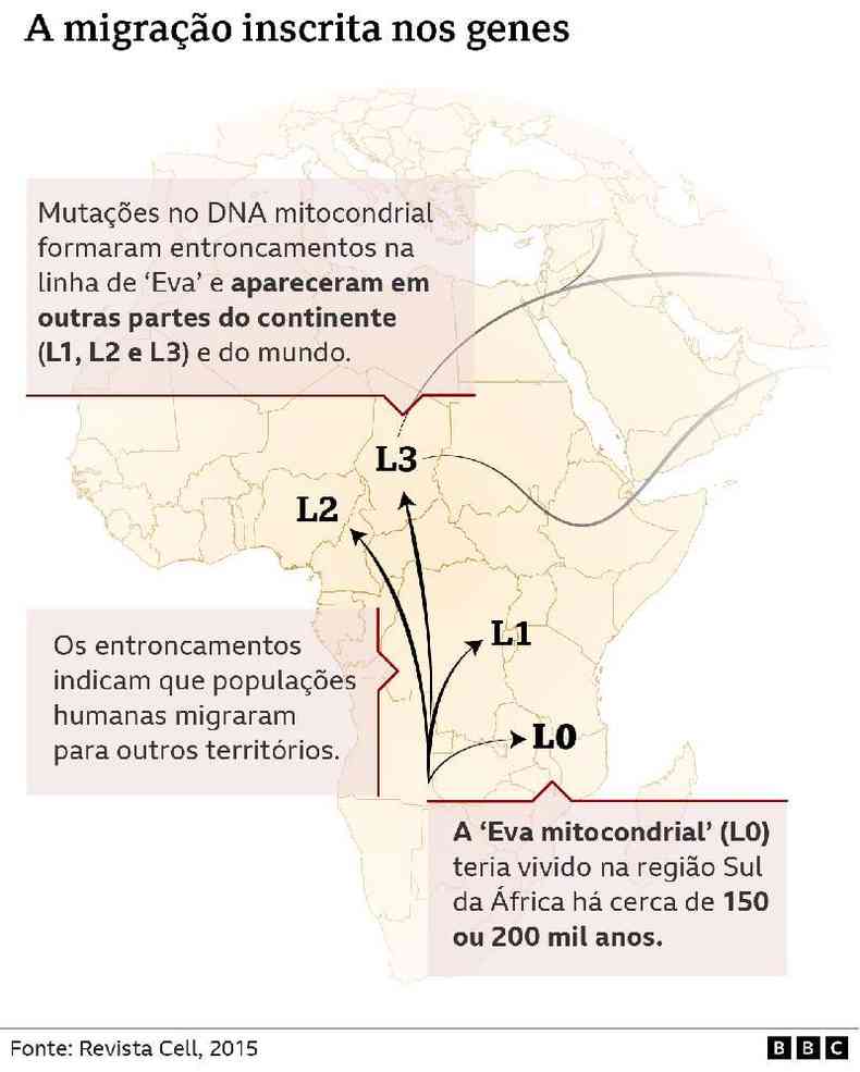 Migrao do DNA mitocondrial