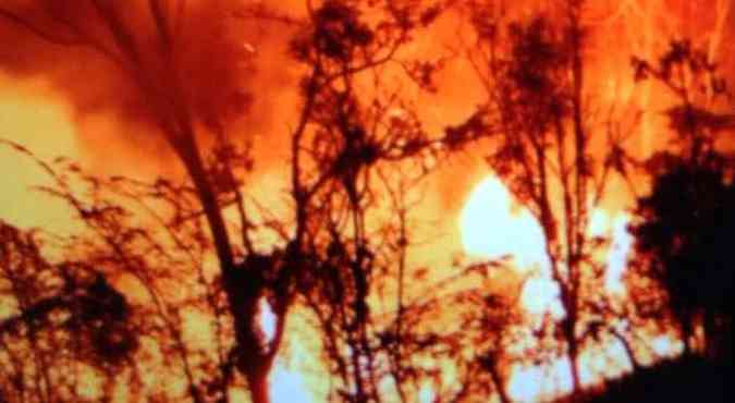 Fogo j teria destrudo a vegetao de quatro stios e queimado um imvel(foto: Luis Mascarenhas)