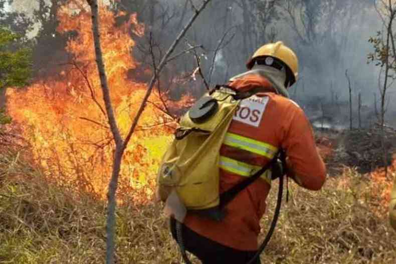 Incndio atinge vegetao no Palcio do Jaburu(foto: CBMDF/Divulgao)