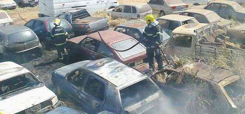 Em Uberlndia, no Tringulo Mineiro, os bombeiros tiveram que entrar em ao para apagar incndio que comeou em mata e atingiu carros(foto: Corpo de Bombeiros/Divulgao)