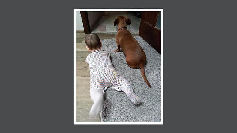 (foto: Ievgen Pereverziev) O bebê e o cachorro de Ievegen estão deitados no chão em sua casa em Dnipro