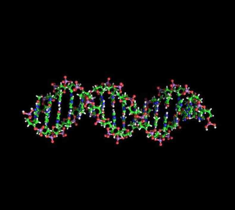 Pesquisa vai debater, entre outros assuntos, a reconfigurao da estrutura de DNA dos organismos (foto: UCSB/Divulgacao)