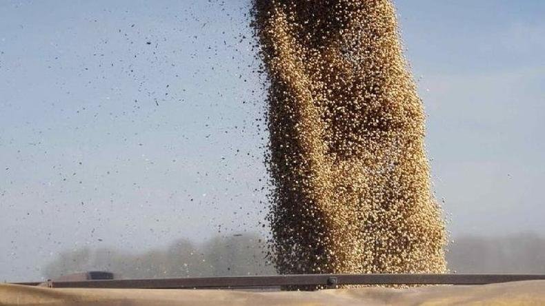 Maior associação de produtores de soja é próxima de Bolsonaro e deixou a Abag por discordar de carta com sugestões para frear o desmatamento(foto: Reuters) Maior associação de produtores de soja é próxima de Bolsonaro e deixou a Abag por discordar de carta com sugestões para frear o desmatamento