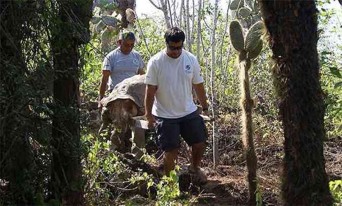 (foto: REUTERS/Directorate of the Galapagos National Park/Handout )