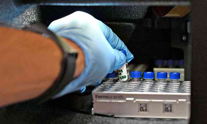 Bioquímico, usando luva, segura frascos de óleos terapêuticos de Cannabis