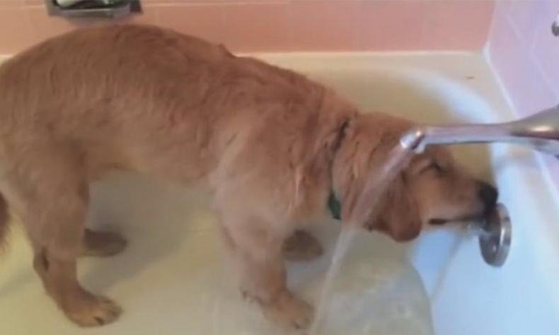 (foto: Reprodu��o)