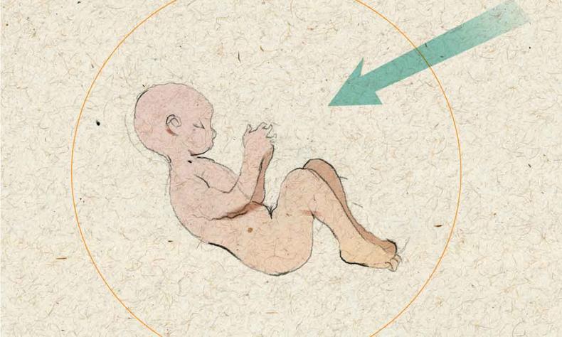 Ilustrao de um feto dentro de uma bolha