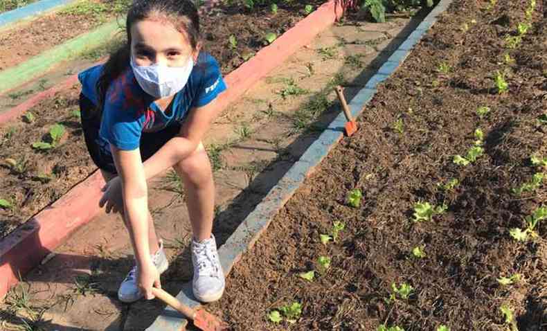 Crianças da Educação Infantil aprendem a cultivar hortaliças em Ipatinga e ainda preparam receitas com os produtos que colherm(foto: Divulgação FSFX)