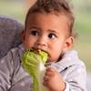 Pediatras no Brasil e nos EUA advertem contra dieta vegana até dois anos
