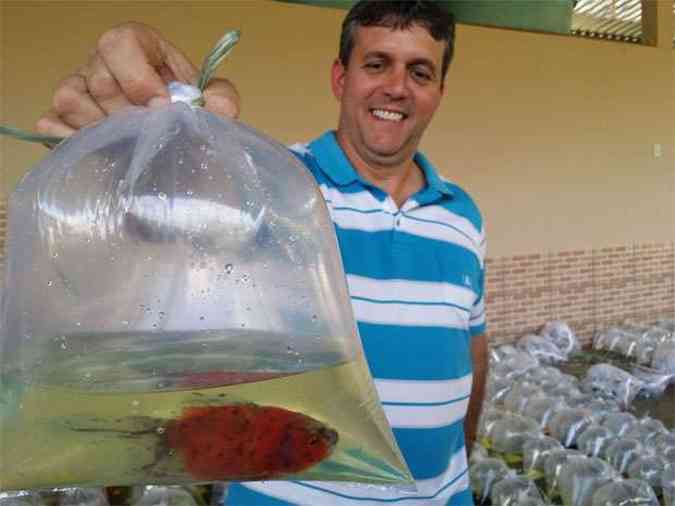 Mrcio Oliveira apostou nos peixes ornamentais e se deu bem: venda semanal de 150 mil exemplares de carpas, bettas e espadas, entre outros(foto: PAULO HENRIQUE LOBATO/EM/DA PRESS)