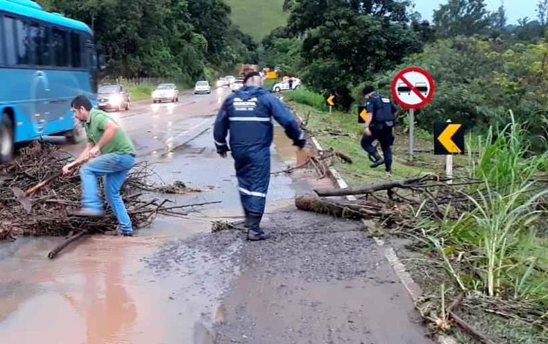 Homens retiram galhos da pista