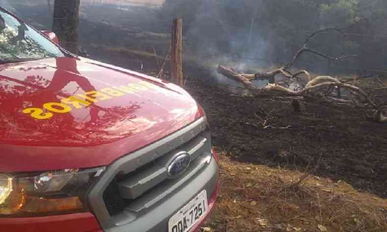 Fogo comeou em canavial e atingiu a mata perservada queimando 300 hectares