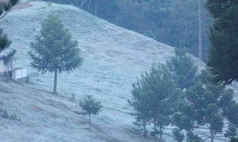Monte Verde, distrito de Camanducaia, no Sul de Minas, foi tomado pela geada, quando os termmetros marcaram -2,7C, menor temperatura do estado em 2021(foto: Hotel Cabea de Boi/Divulgao )