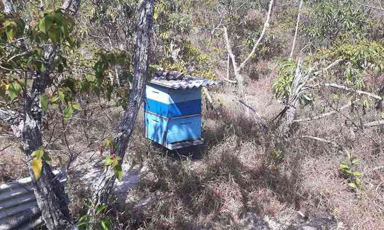 Uma das caixas de criao das abelhas. Segundo a PM, local  irregular(foto: Polcia Militar/Divulgao)
