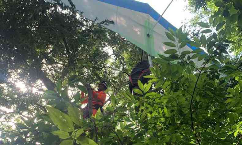 Militar do Corpo de Bombeiros subiu na rvore gigantesca para retirar o piloto e sua asa delta(foto: Reproduo)