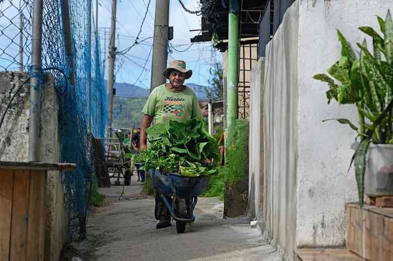 Homem empurra carrinho de mo lotado de vegetais colhidos em horta em Manguinhos, no Rio