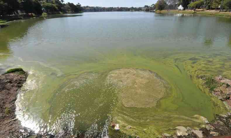 Lagoa poluda