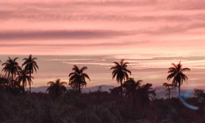 Amanhecer com cu avermelhado, sombra de rvores e coqueiros