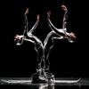 Momix faz 40 anos e continua surpreendendo o mundo com suas coreografias