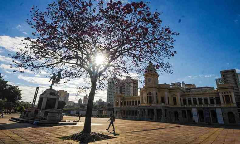 Manh de sexta-feira (16/7) em Belo Horizonte. Na foto, ip na Praa da Estao, Centro da capital(foto: Leandro Couri/EM/DA Press)