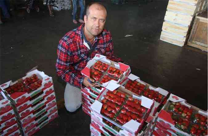 Gilmar Garcia tem negociado 40% menos do volume da fruta que comercializava no ano passado(foto: Edsio Ferreira/EM/D.A Press)
