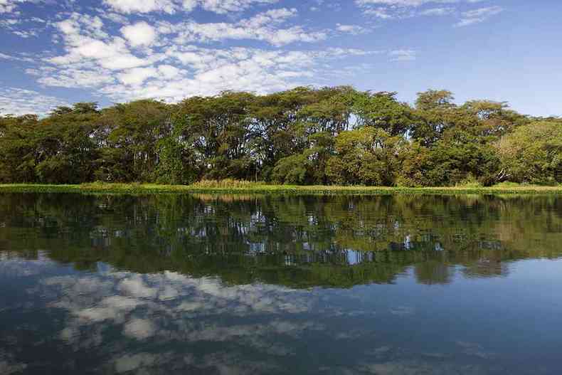 Projeto de Recuperao de Mata Ciliar no entorno de reservatrios - Cemig(foto: Joo Marcos Rosa)