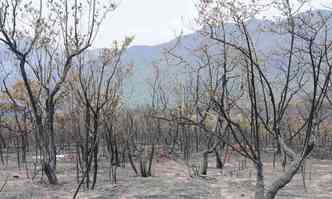 rea consumida pelas chamas no Parque Estadual do Rola-Moa: incndio na reserva foi controlado ontem, mas ainda no est extinto (foto: Paulo Filgueiras/EM/DA Press)