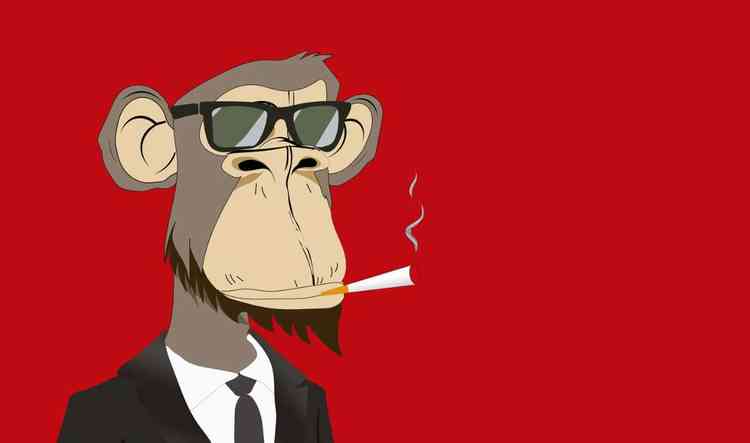 NFT macaco fumando