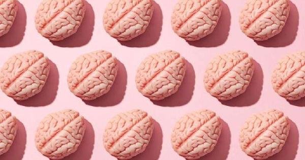 Tratamento contra Alzheimer: agência altera indicação; entenda o que muda - Vimarsana News