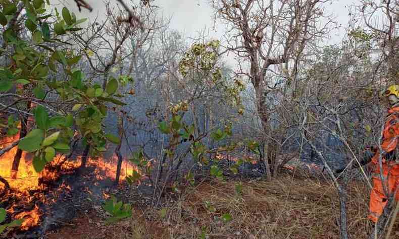 Fogo queimou mata e pastagens no Tringulo Mineiro