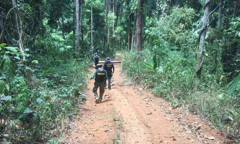 Polcia Federal identifica reas de desmatamento e grilagem em terras indgenas de Altamira(foto: Reproduo/Polcia Federal)