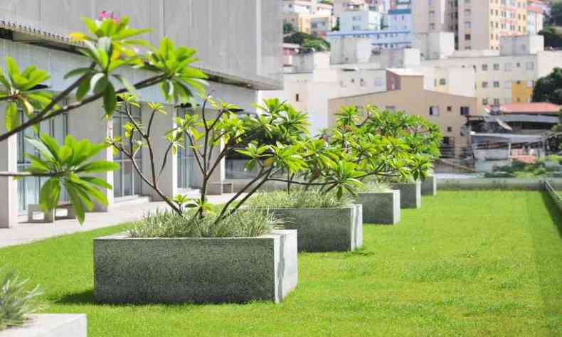Telhado verde instalado em prdio do Sebrae, em Belo Horizonte(foto: Gladyston Rodrigues/EM/D.A Press)