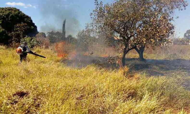 No Distrito Industrial de Araguari as chamas consumiram terreno de 2 mil metros quadrados(foto: Corpo de Bombeiros/Araguari/Divulgao)