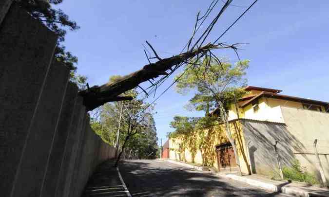 (foto: Beto Magalhes/EM/D.A.Press)