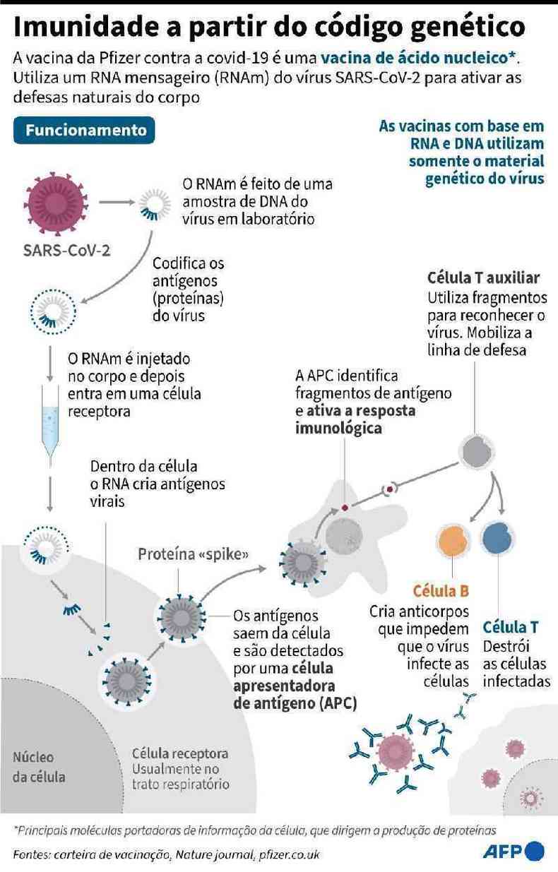 Infografia mostra imunidade a partir do código genético