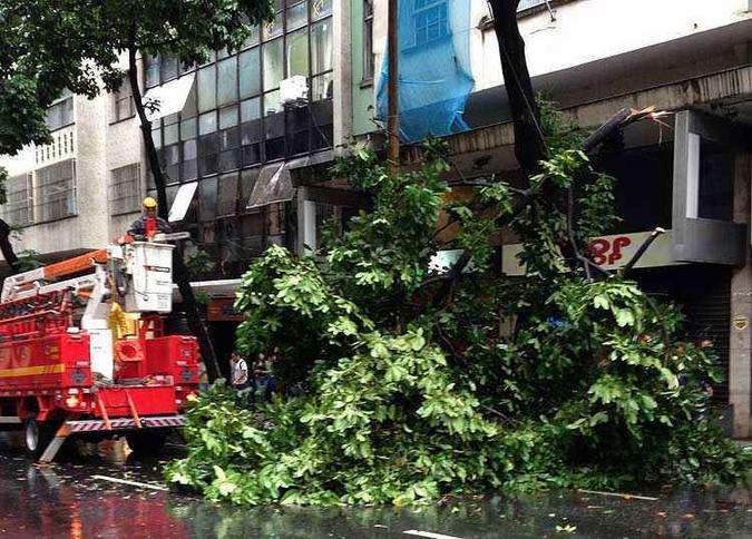 Na Rua Esprito Santo tambm houve queda de rvores(foto: Edsio Ferreira/EM DA Press)