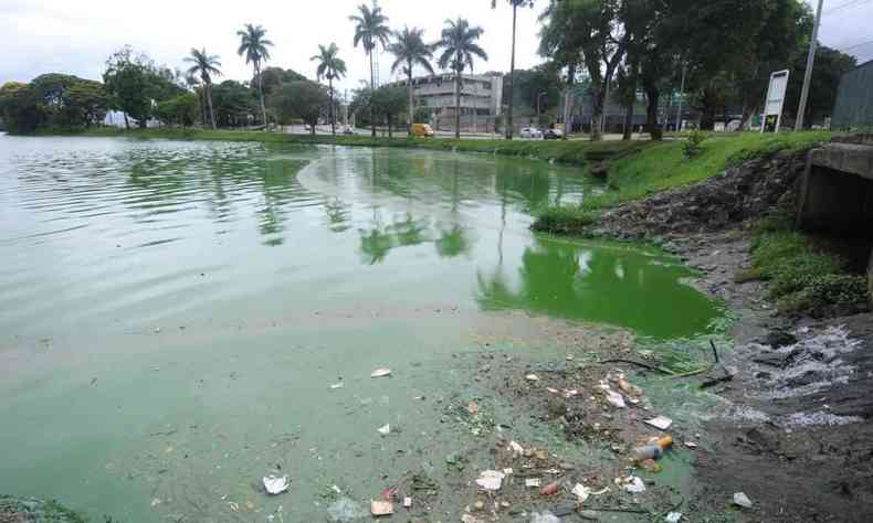 Lagoa da Pampulha, prximo  Igrejinha, com grande camada de lixo e gua verde