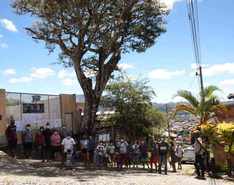 Moradores impediram o corte da centenria rvore e novo laudo tcnico ser providenciado. (foto: Ong Macaca/Divulgao)