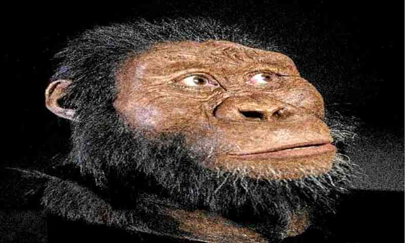 Reconstituio artstica da aparncia do indivduo ao qual pertenceu o crnio completo de 3,8 milhes de anos encontrado na frica(foto: Yohannes Haile-Selassie, Cleveland Museum of Natural History/Divulgao )
