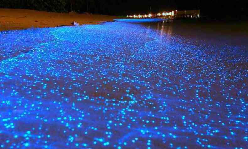 Exemplo de bioluminescncia gerada pelos fitoplnctons nas ilhas Maldivas.(foto: When On Earth/Dvulgao)