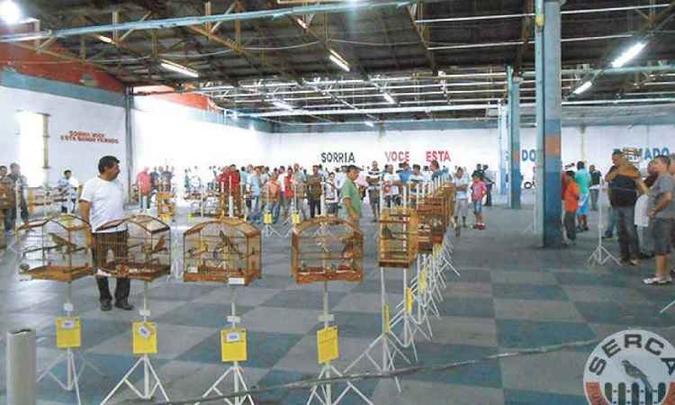 (foto: Serca/Divulgação) (foto: Serca/Divulgação)