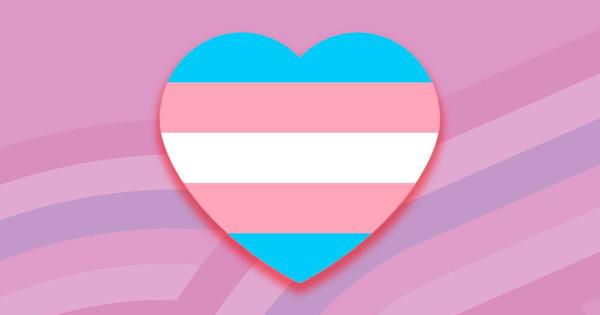 Visibilidade trans nas redes sociais: vozes ampliadas contra o preconceito - Estado de Minas