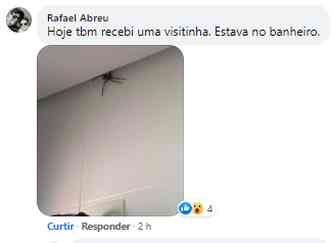 Morador do Buritis encontrou exemplar na cozinha(foto: Reproduo Facebook)