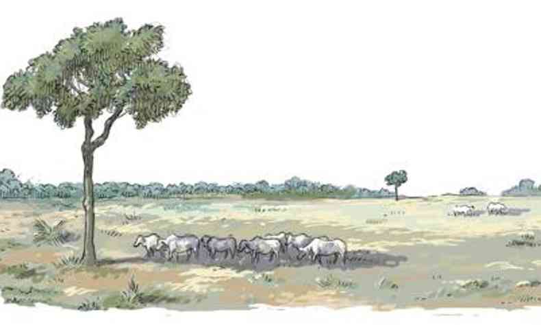 Ilustrao de desmatamento na Amaznia que deu lugar ao gado