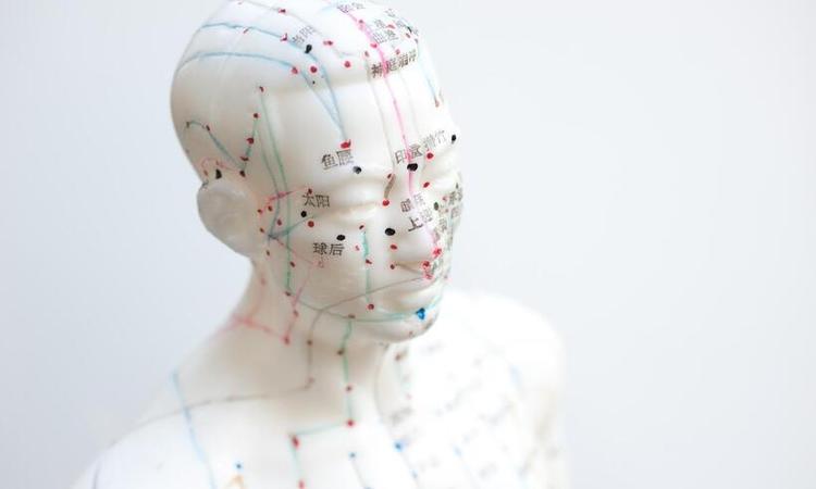 Boneco mostra pontos de acupuntura onde a agulha deve ser aplicada