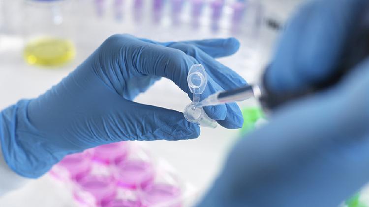 Close de um par de mos em luvas de ltex usando equipamento em um laboratrio