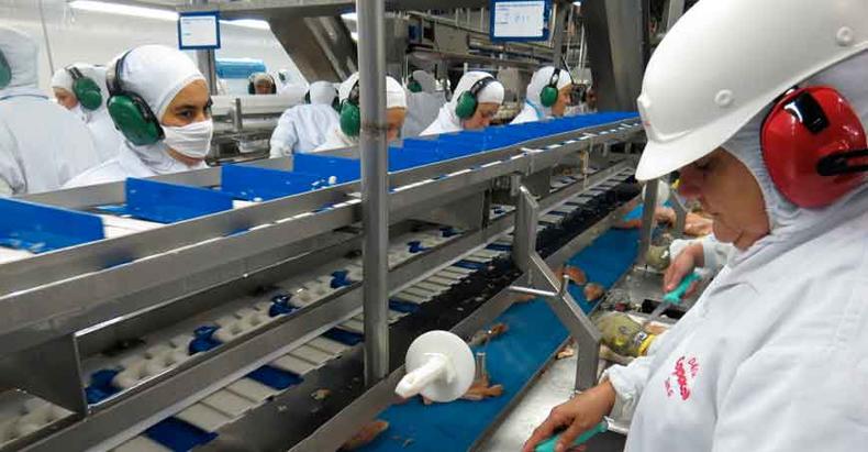 Exportações do agronegócio e de petróleo impuseram fim à restrição na capacidade de importar, mas, mesmo assim, crescimento econômico é menor(foto: ANPR/Sindiavipar/Divulgação 21/1/16) Exportações do agronegócio e de petróleo impuseram fim à restrição na capacidade de importar, mas, mesmo assim, crescimento econômico é menor(foto: ANPR/Sindiavipar/Divulgação 21/1/16)
