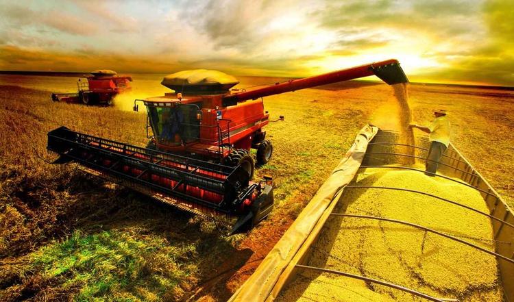 Agro