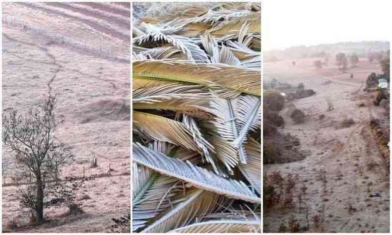 A primeira e terceira imagens mostram o frio em Varginha, no Sul de Minas; enquanto a do meio ilustra o frio em SP