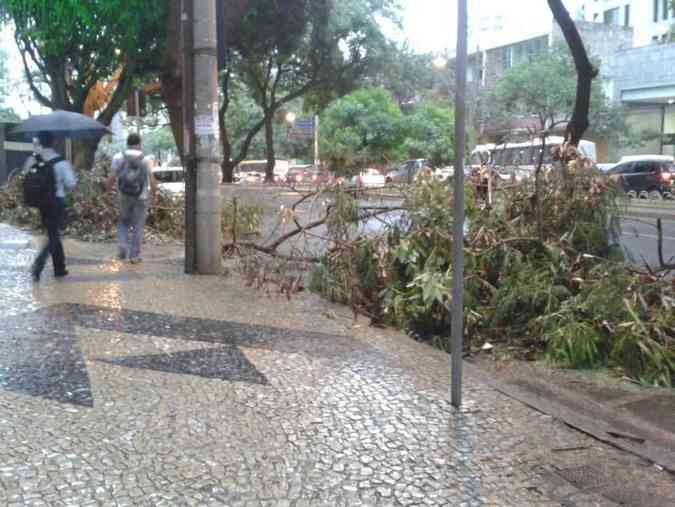 Na Avenida Getlio Vargas, em frente ao nmero 471, parte de uma rvore caiu e chegou a atingir a rede eltrica, inicialmente sem causar danos. Passagem e pedestres foi prejudicadaClarisse Souza/EM/DA Press